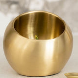 Century Sphere Holder | Brass